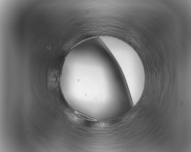 X0000071760237200606300924