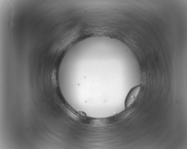 X0000071760238200606300924