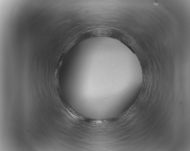 X0000071760239200606300924