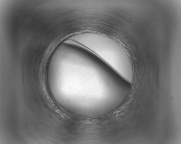 X0000071760241200606300923