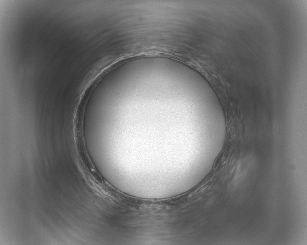 X0000071760242200606300923