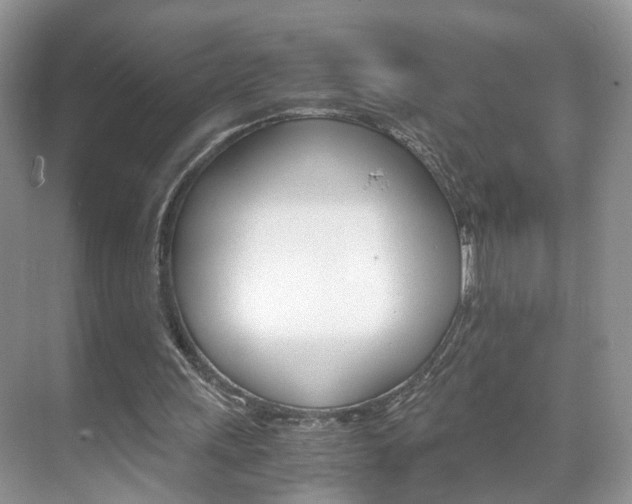 X0000071760243200606300923