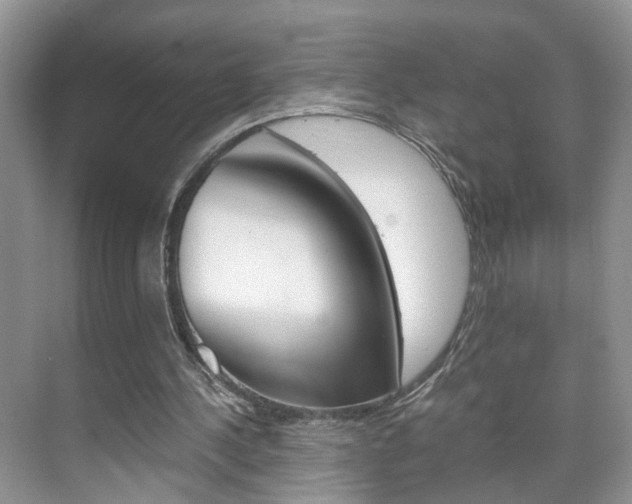 X0000071760244200606300923