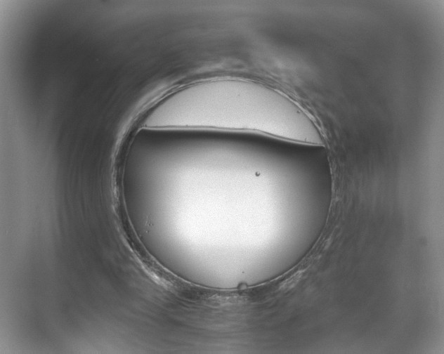 X0000071760245200606300923