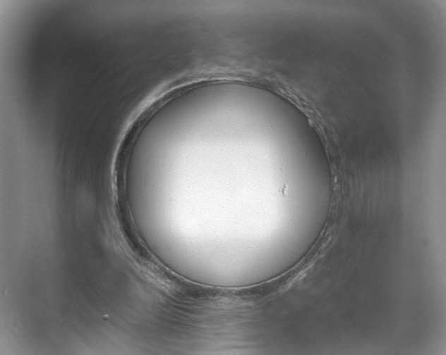 X0000071760246200606300923