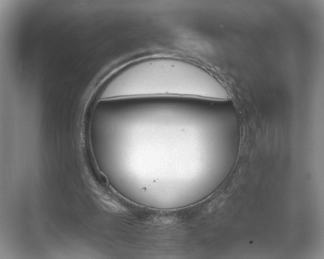 X0000071760247200606300923