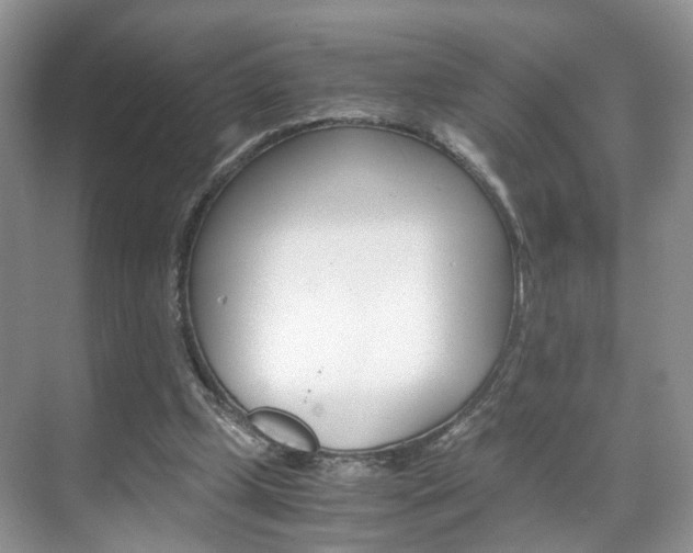 X0000071760249200606300923