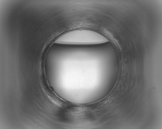 X0000071760250200606300923