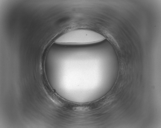 X0000071760251200606300923