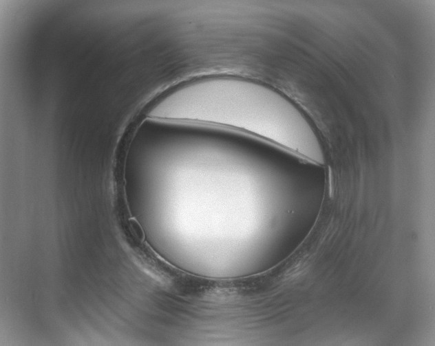 X0000071760252200606300923