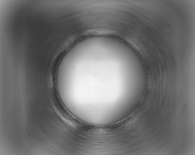 X0000071760254200606300923