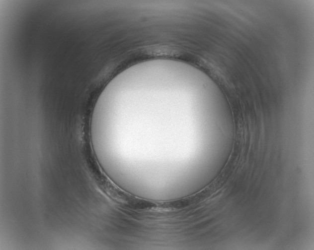 X0000071760255200606300923