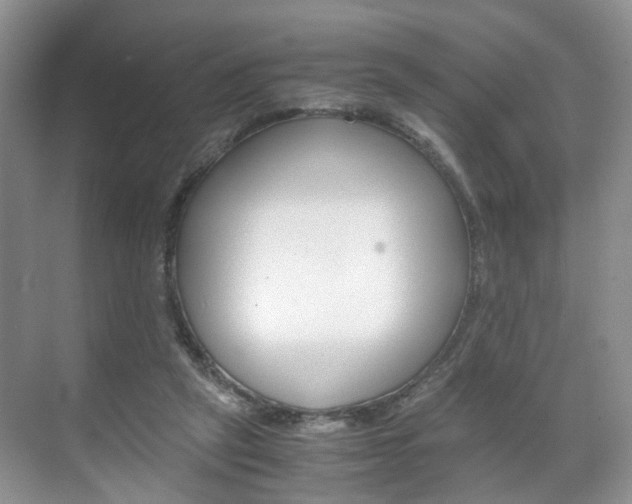 X0000071760257200606300923