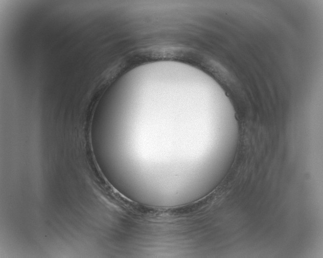 X0000071760258200606300923