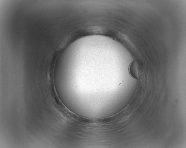 X0000071760259200606300923