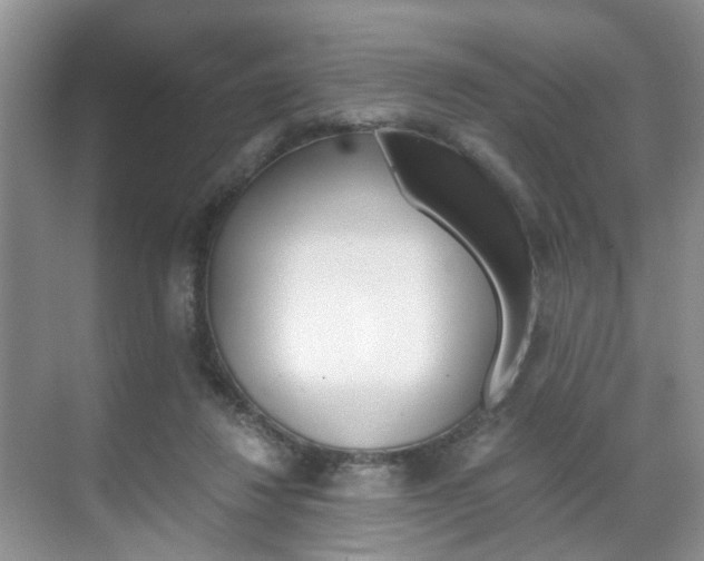 X0000071760260200606300923