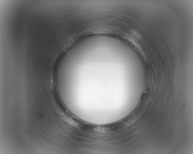 X0000071760261200606300923