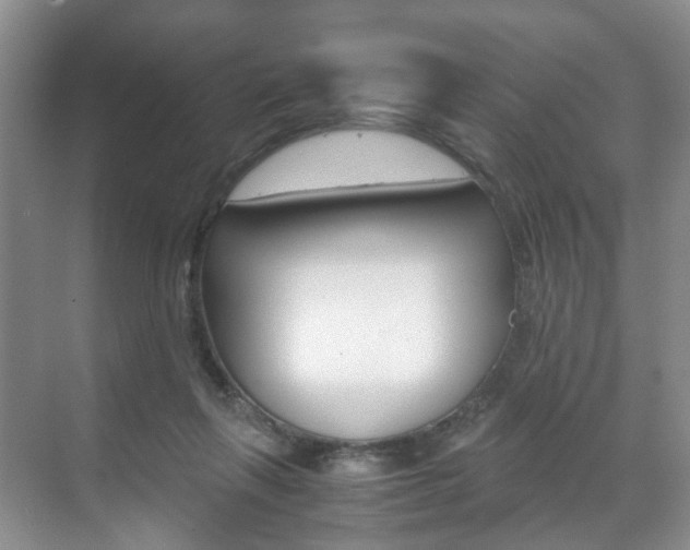 X0000071760263200606300923