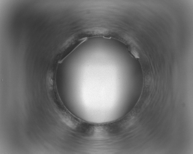 X0000071760264200606300923