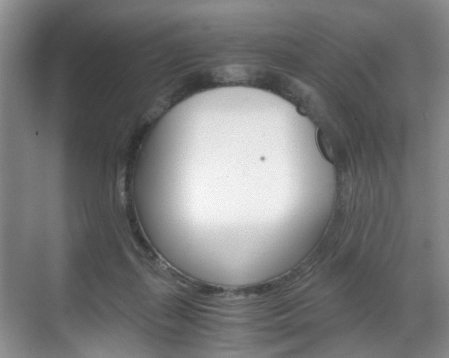 X0000071760267200606300923