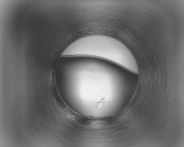 X0000071760268200606300923