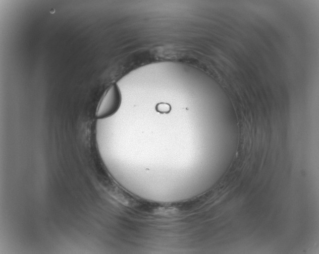 X0000071760271200606300923