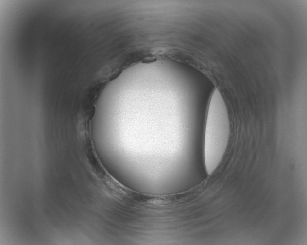 X0000071760272200606300923