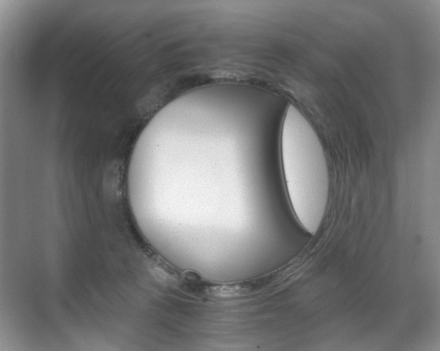 X0000071760273200606300923