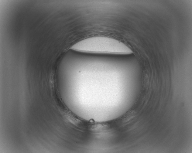 X0000071760274200606300923