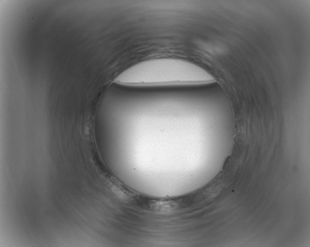 X0000071760277200606300924