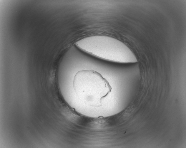 X0000071760278200606300924