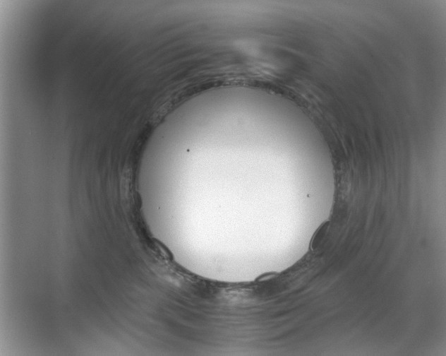 X0000071760283200606300924