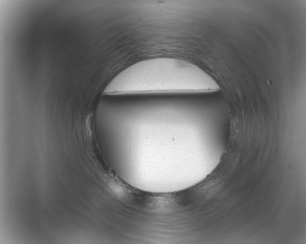 X0000071760286200606300924