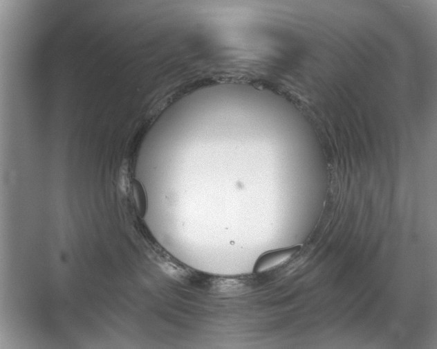 X0000071760287200606300924