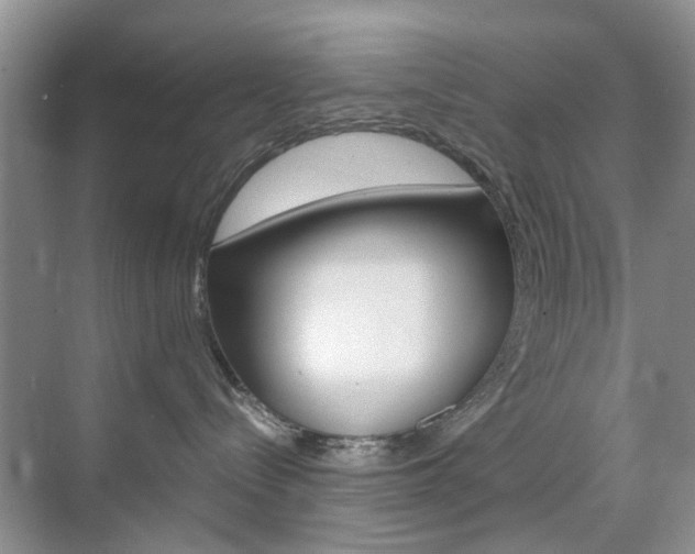 X0000071760288200606300924