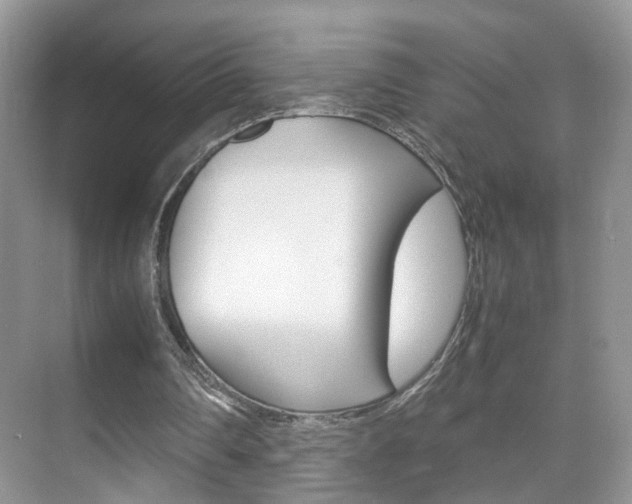 X0000071760290200606300923