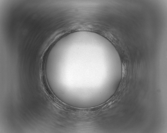 X0000071760291200606300923