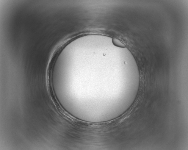 X0000071760294200606300923