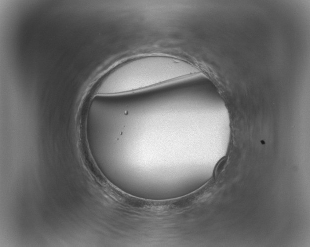 X0000071760295200606300923