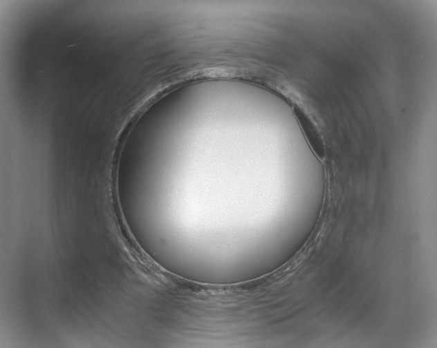 X0000071760297200606300923