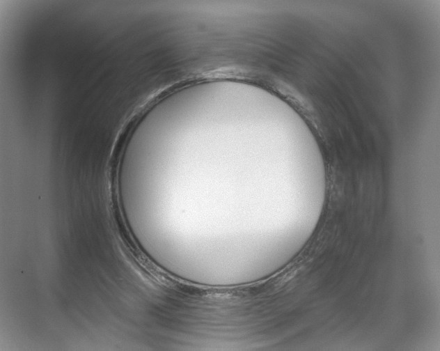 X0000071760298200606300923