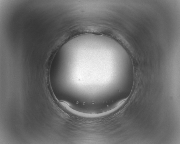 X0000071760305200606300923