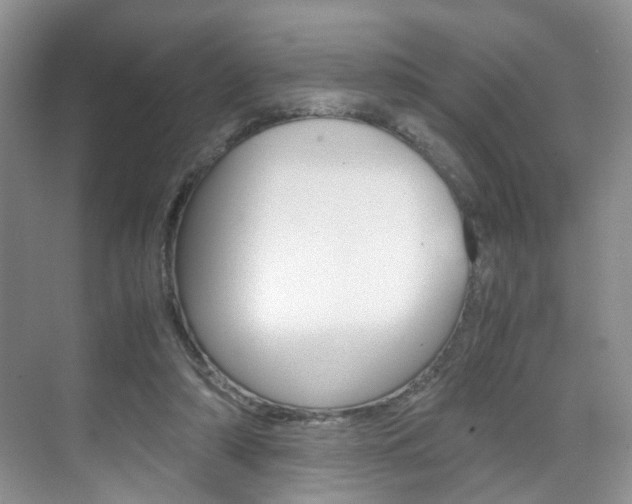 X0000071760306200606300923