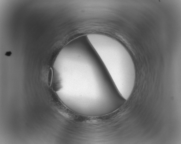 X0000071760307200606300923