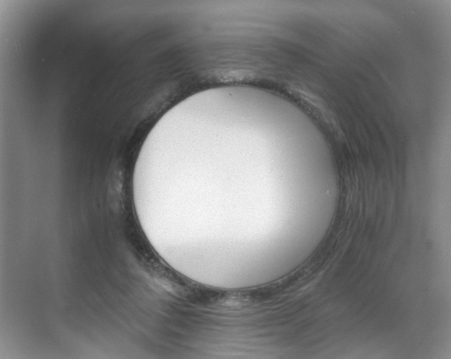 X0000071760308200606300923