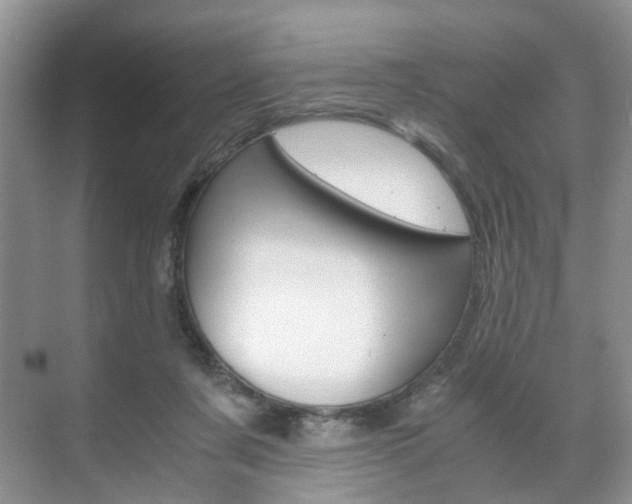 X0000071760311200606300923