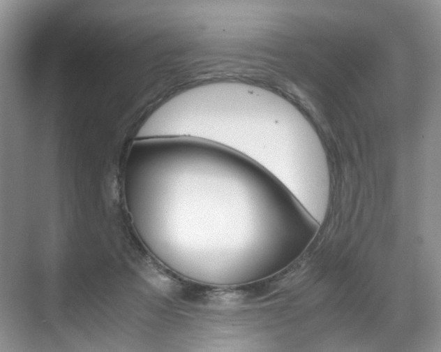 X0000071760313200606300923