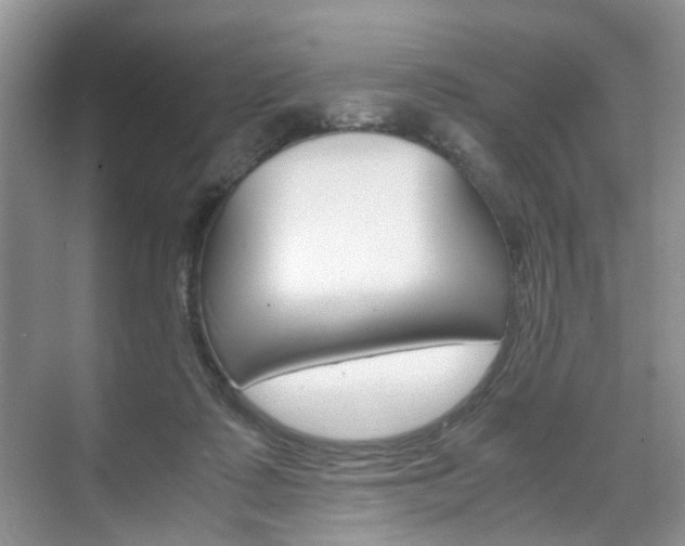 X0000071760315200606300922