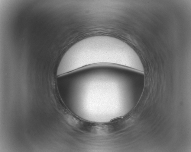 X0000071760317200606300922