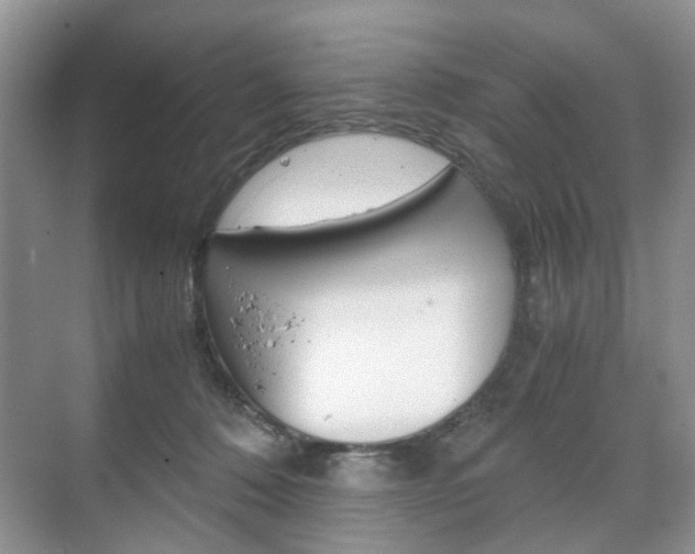 X0000071760320200606300922